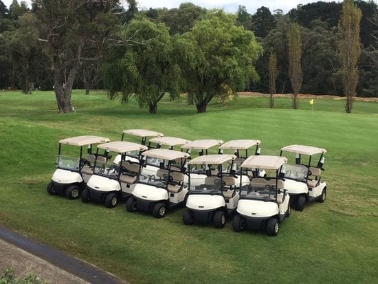 Leura Golf Club take delivery of their new RXV's
